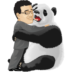 Yoast liked the Panda