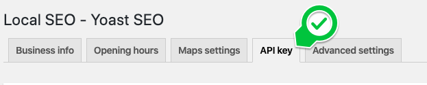 A screenshot of the API key tab in the Local SEO settings